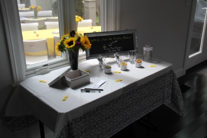 Baby Food Flavor Test